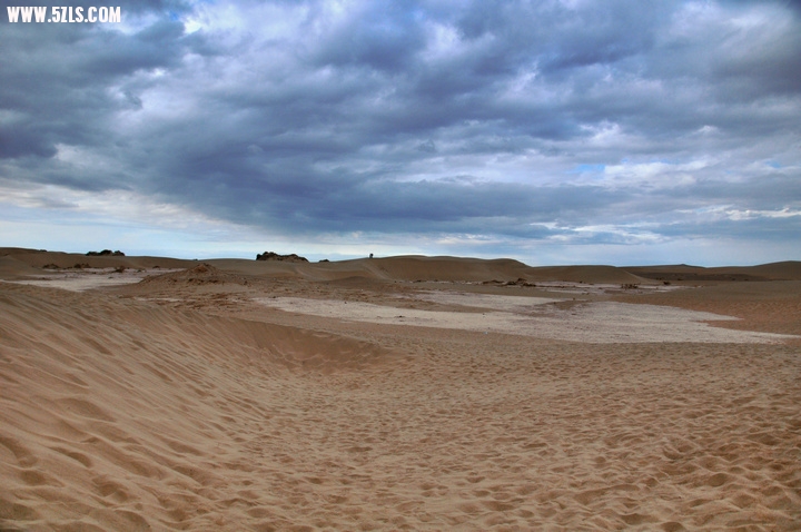 DSC_4813.jpg