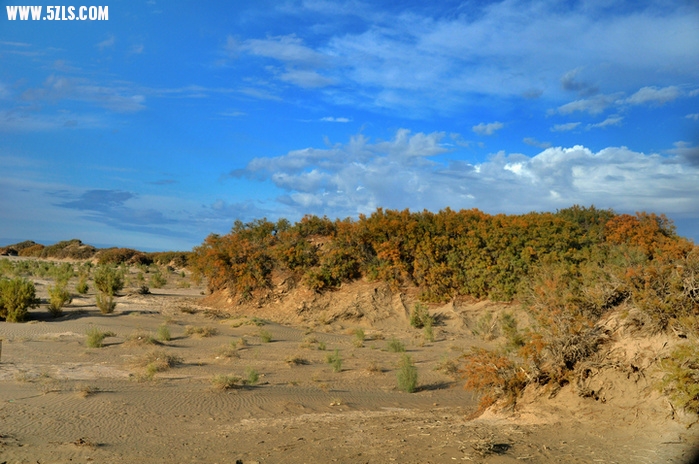 DSC_4863.jpg