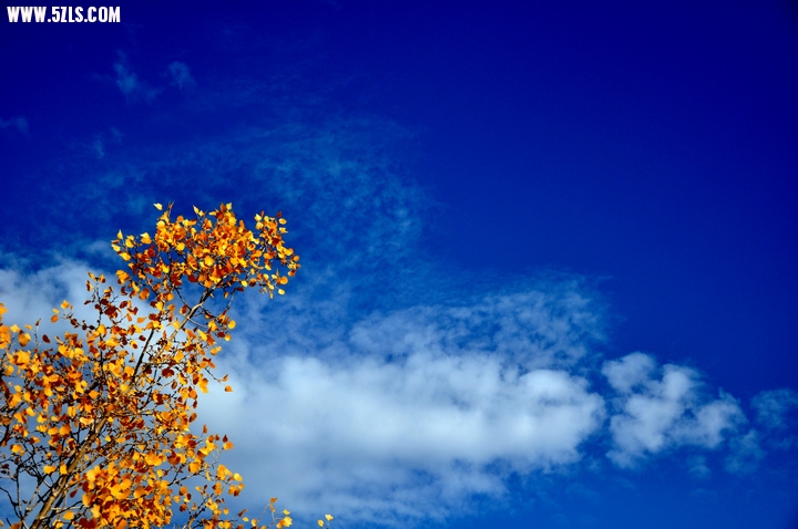 DSC_4914.jpg