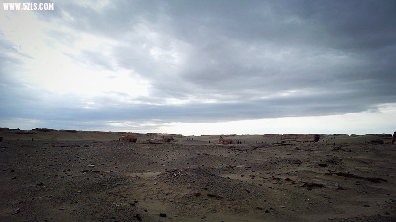 P1160031__.jpg
