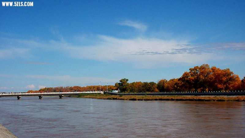 P1160094__.jpg