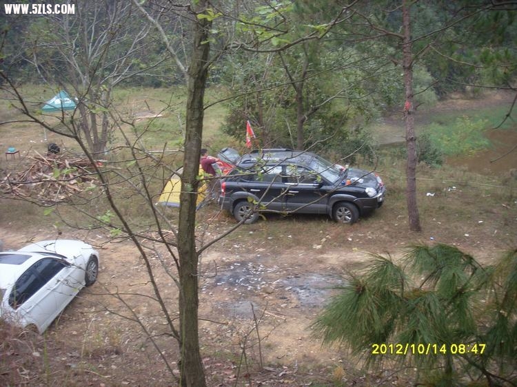 SL381016.JPG