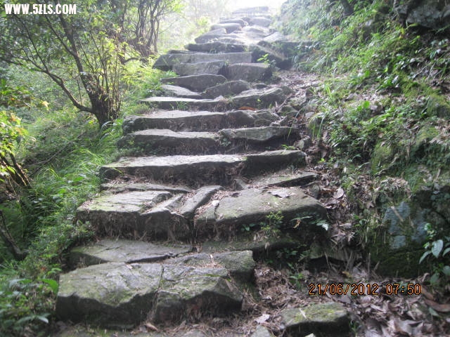 2012628 006.jpg