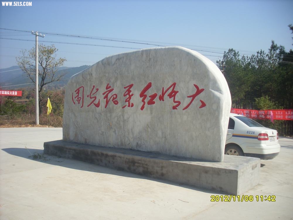 SL381335.JPG