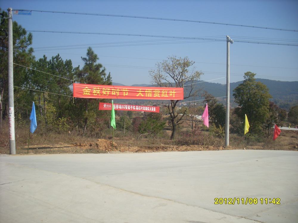 SL381336.JPG