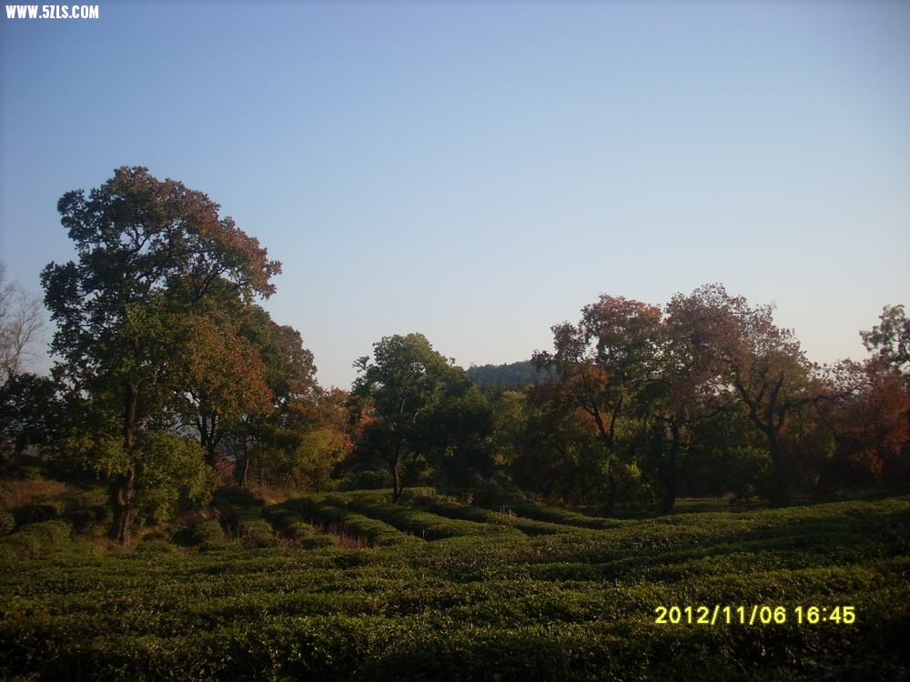 006.JPG