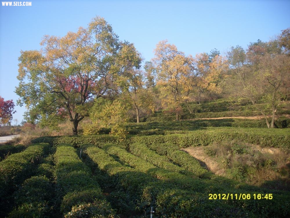 009.JPG