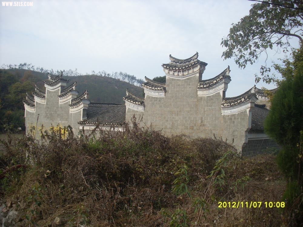 SL381397.JPG