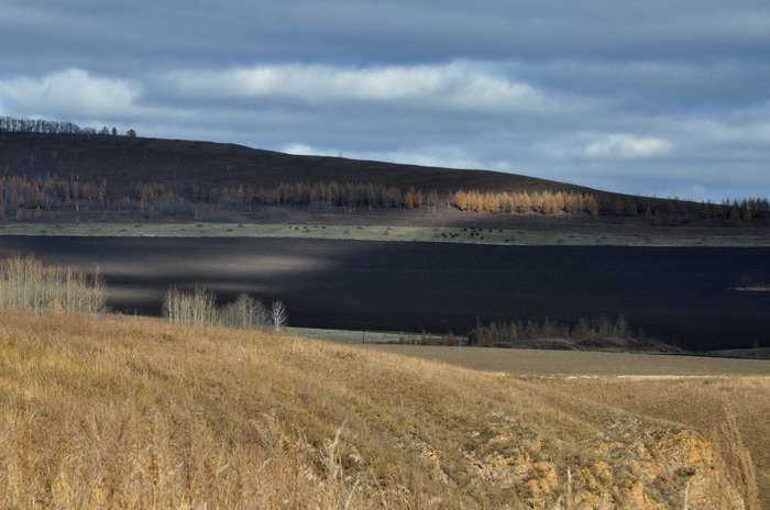 DSC_0350.jpg