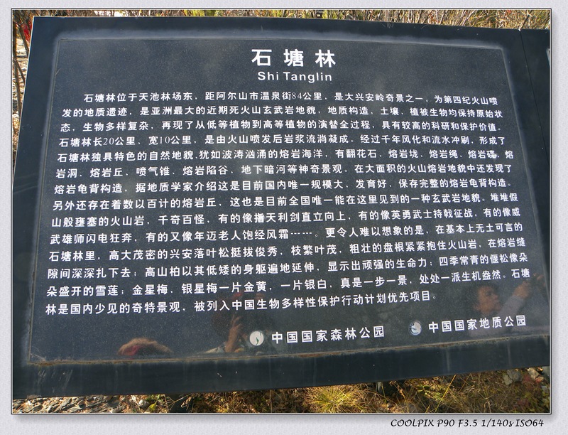 DSCN3909.jpg