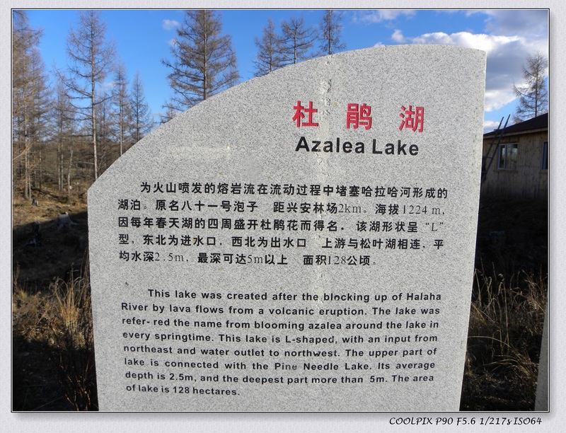 DSCN3945.jpg
