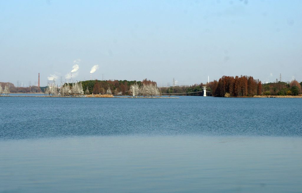dsc08682.jpg