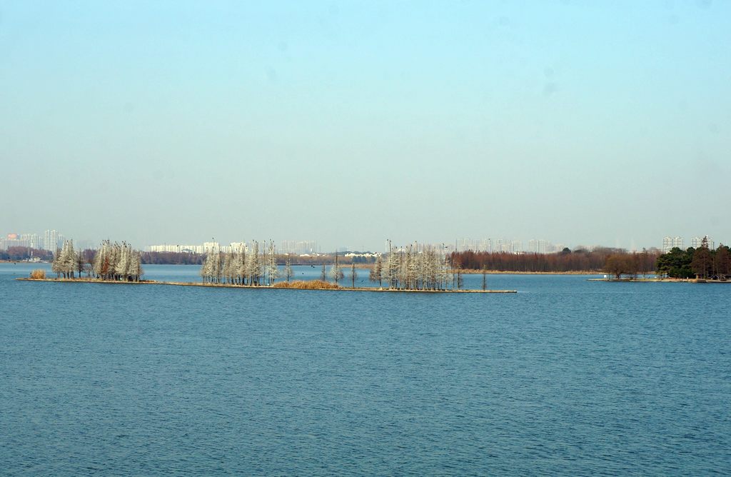 dsc08685.jpg