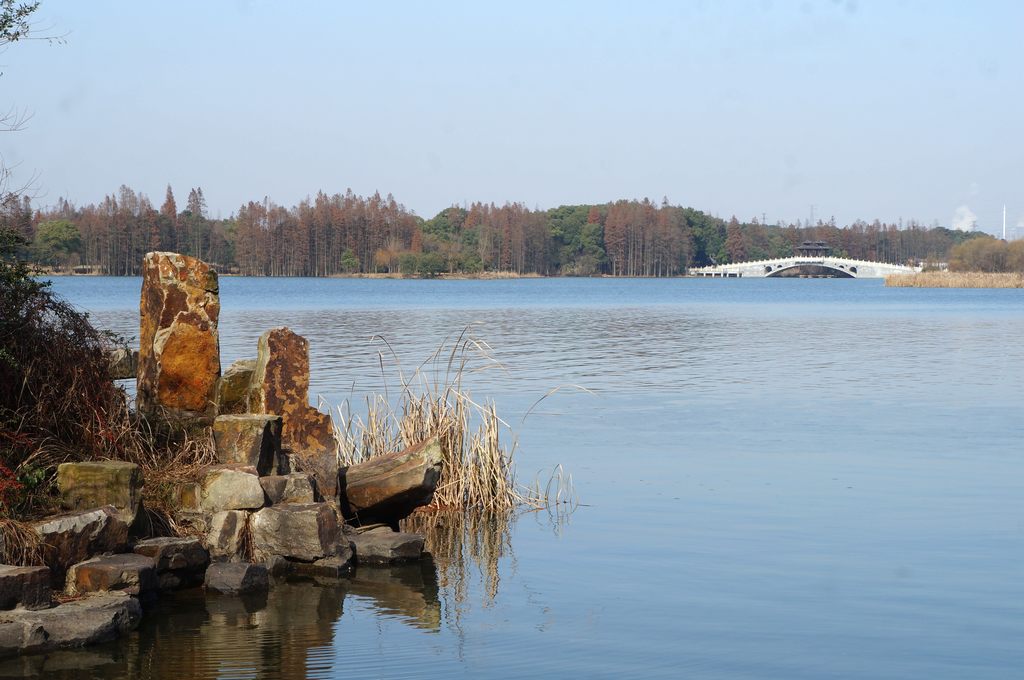 dsc08712.jpg