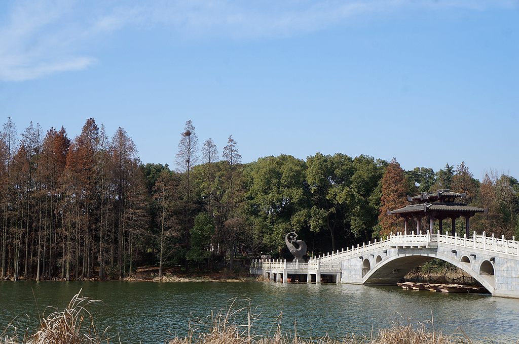 dsc08716.jpg