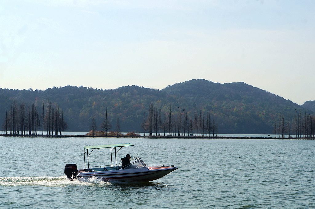 dsc08729.jpg