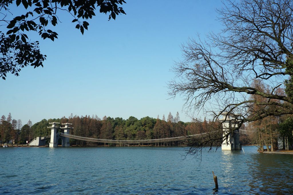 dsc08737.jpg