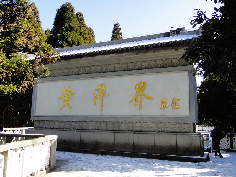 dsc08631.jpg