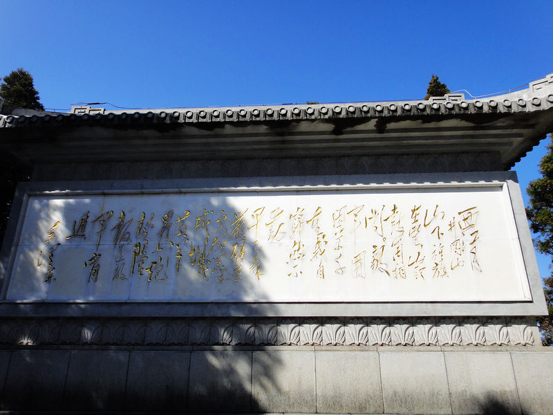 dsc08629.jpg