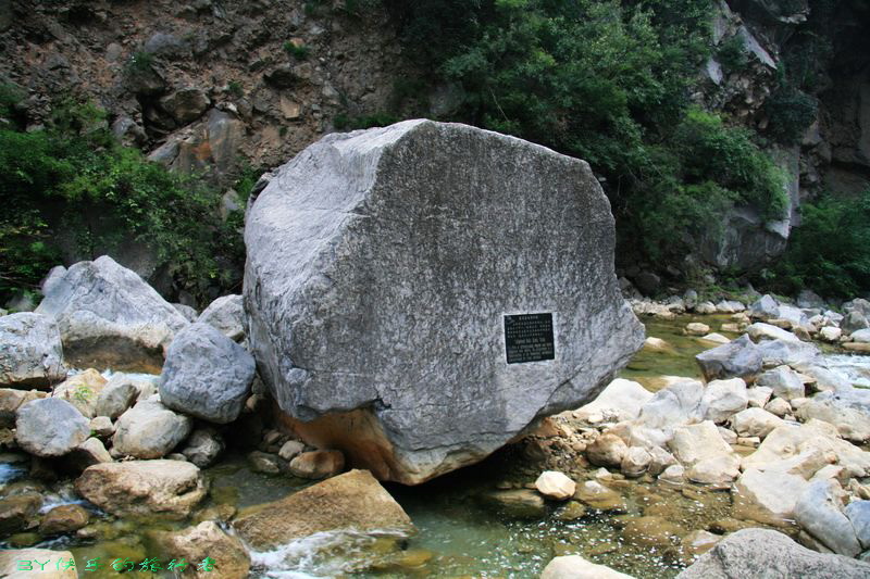 1398.jpg