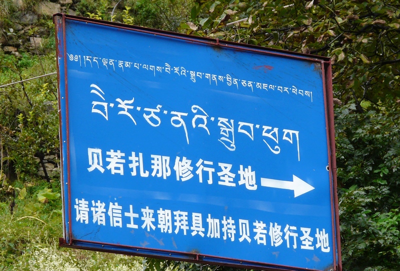 133.jpg