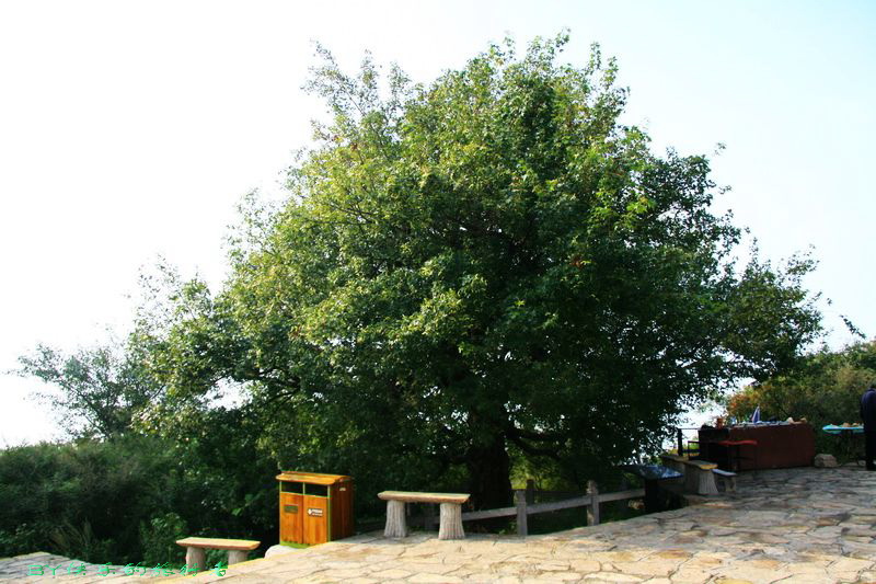 1567.jpg