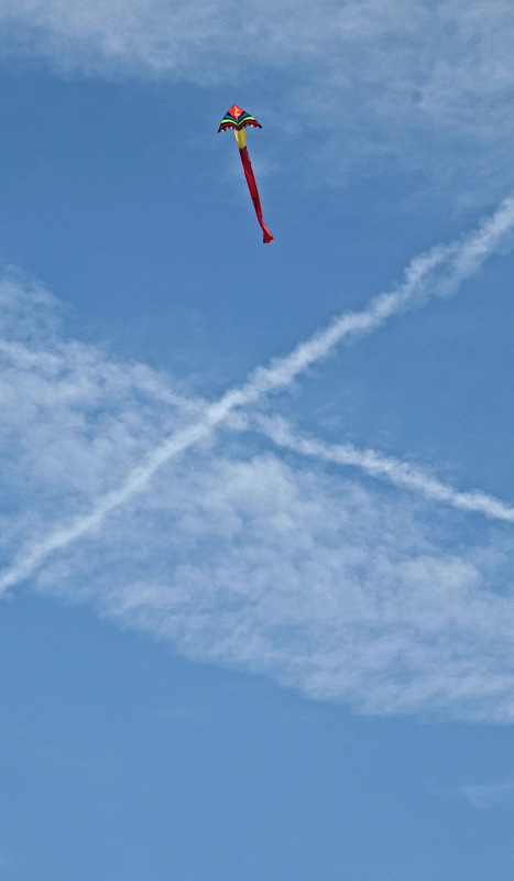 dsc_0440.jpg