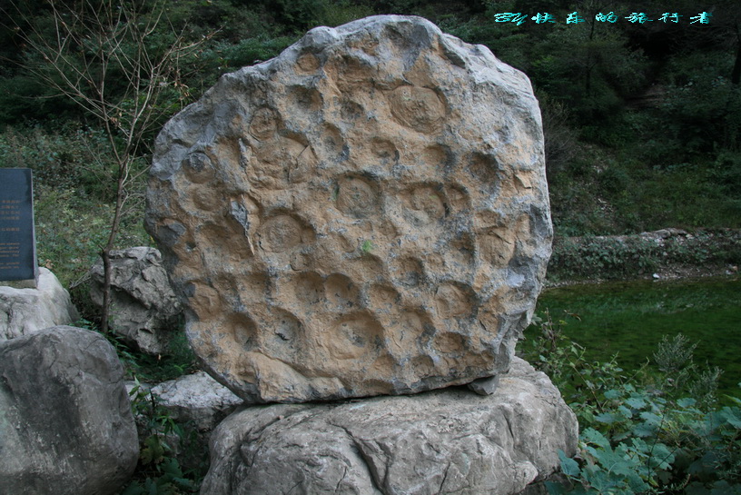 1042.jpg