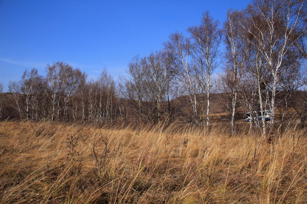 img_5549.jpg