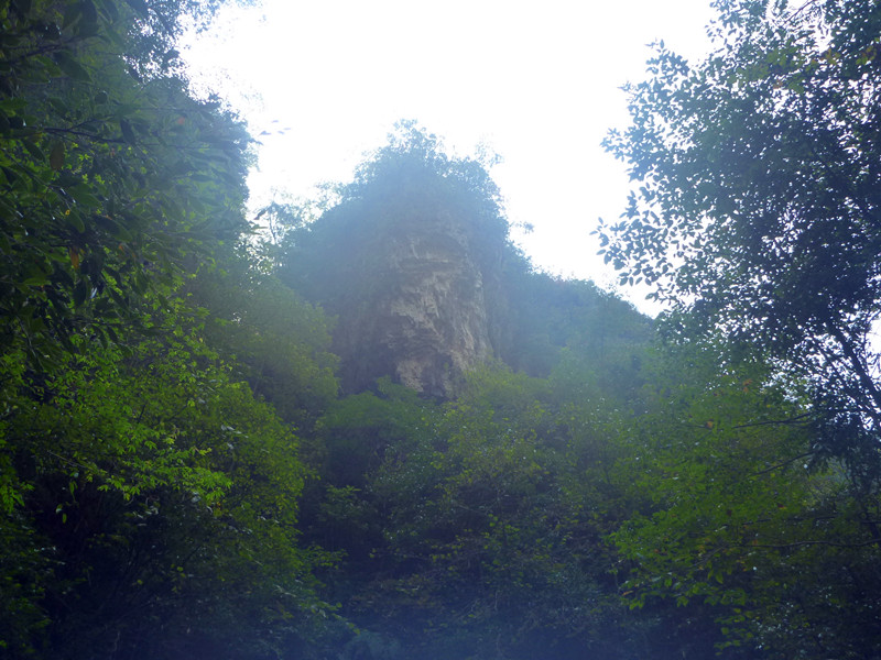 p1160792_.jpg