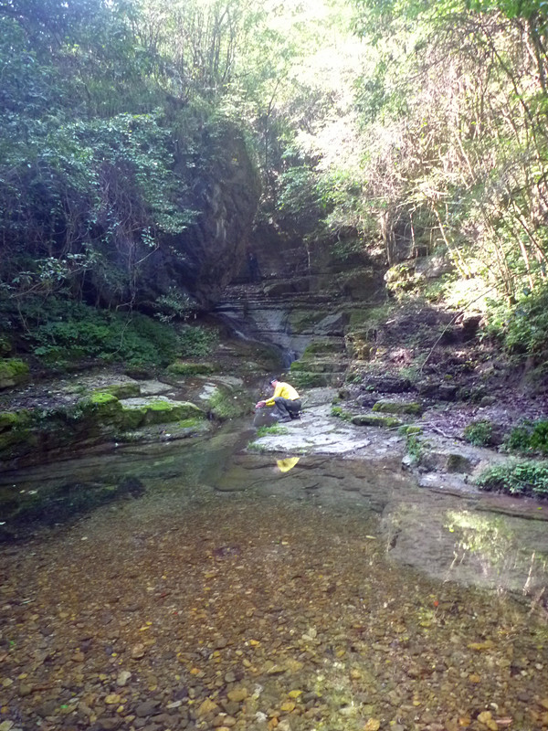 p1160798_.jpg