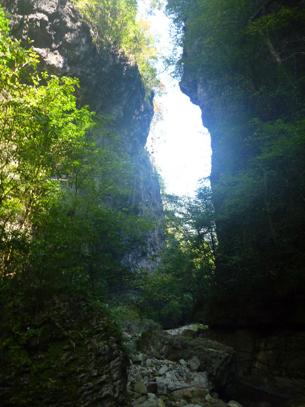 p1160809_.jpg
