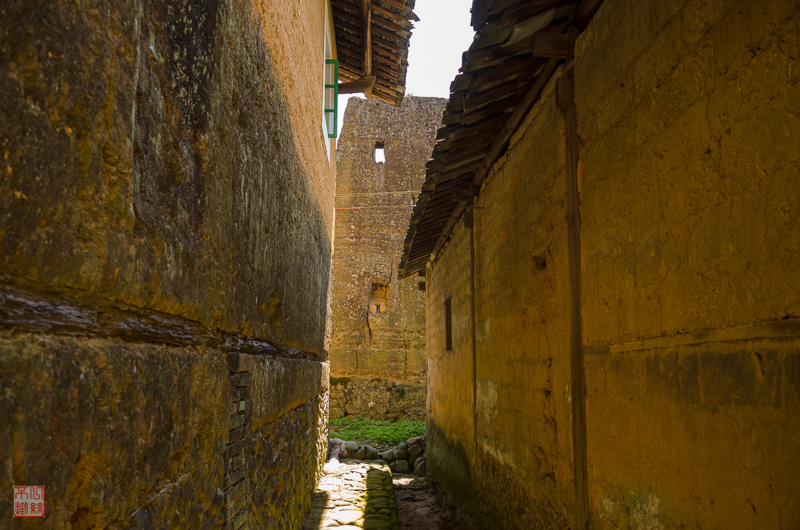 l1000704.jpg