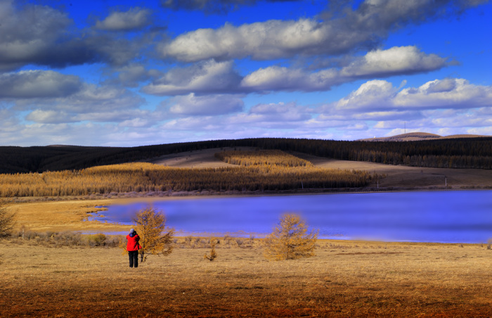_dsc2667.jpg