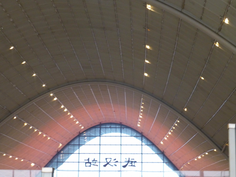 p1130393.jpg