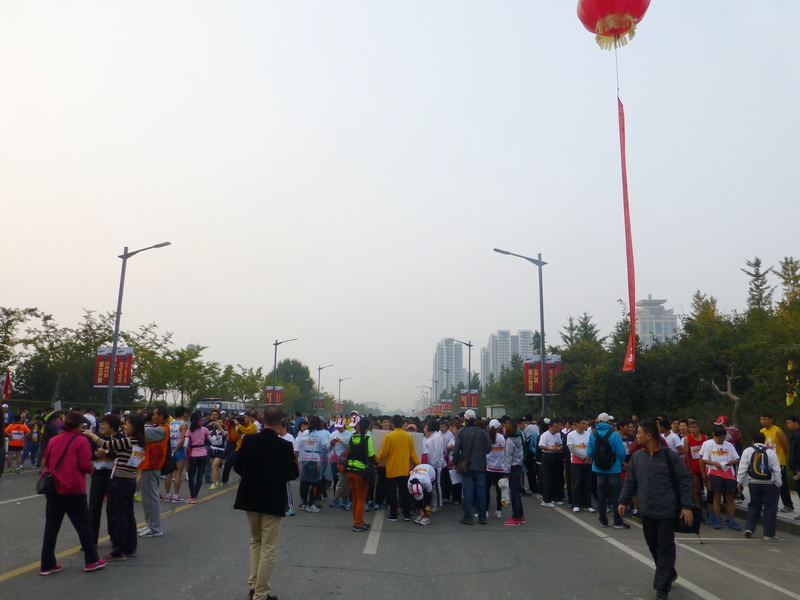 p1130475.jpg