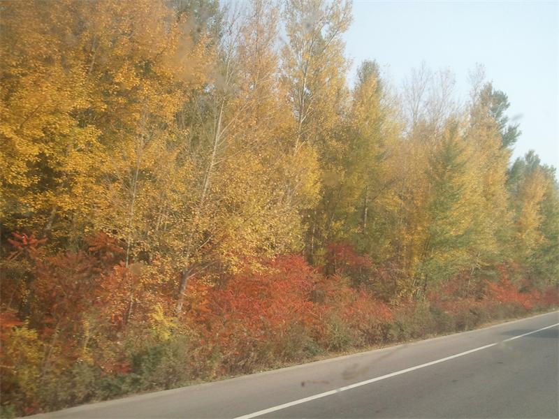 2013-10-04 15.17.40.jpg