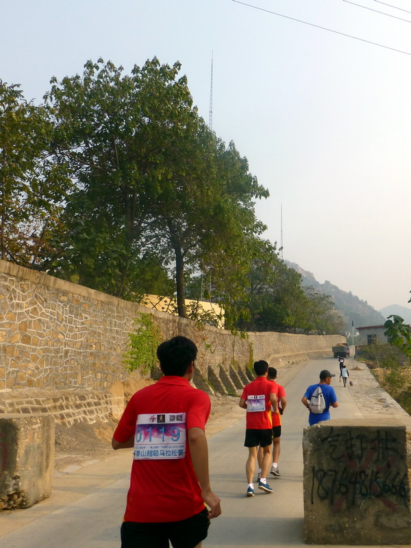 p1130538.jpg