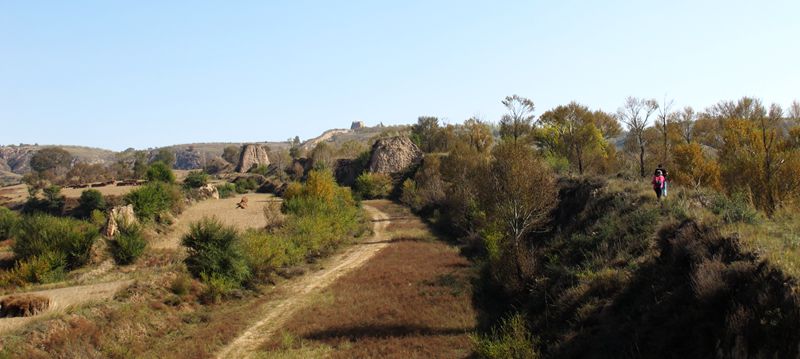 img_8906.jpg