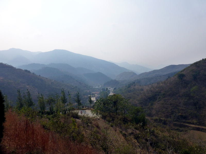 p1130616.jpg