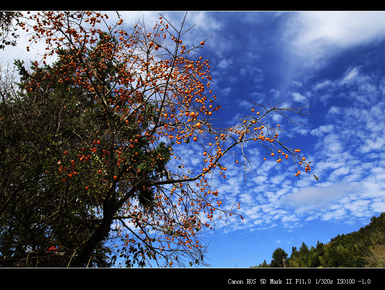 _mg_6846.jpg