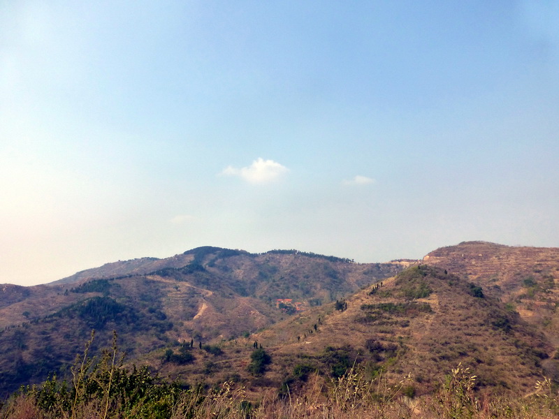 p1130630.jpg