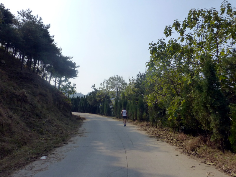 p1130641.jpg