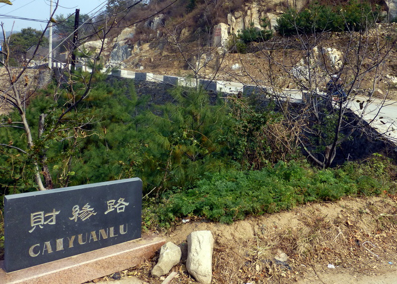 p1130648.jpg