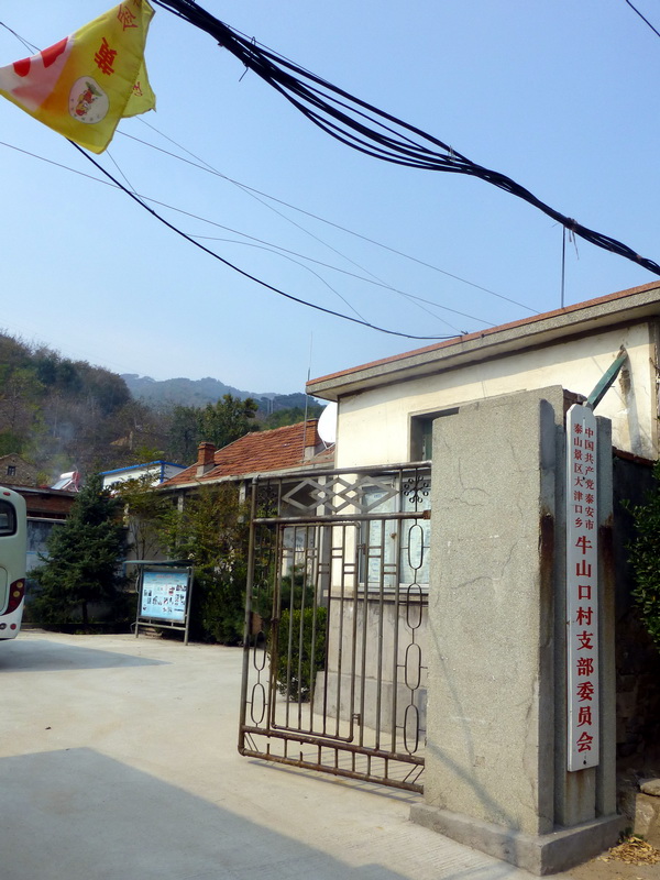 p1130650.jpg