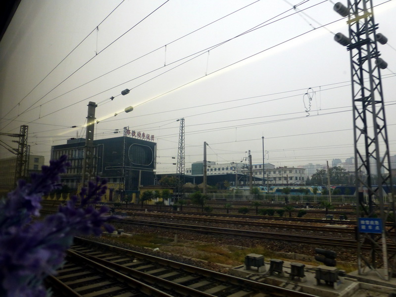 p1130758.jpg
