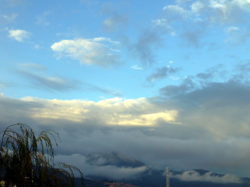 p1130866.jpg