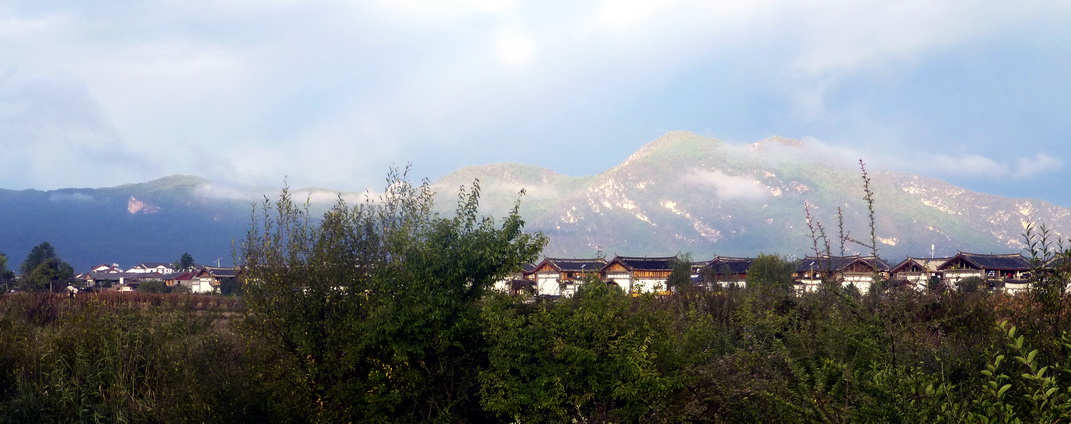 p1130869.jpg