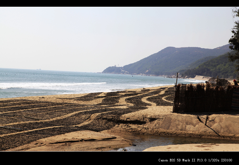 _mg_7162.jpg