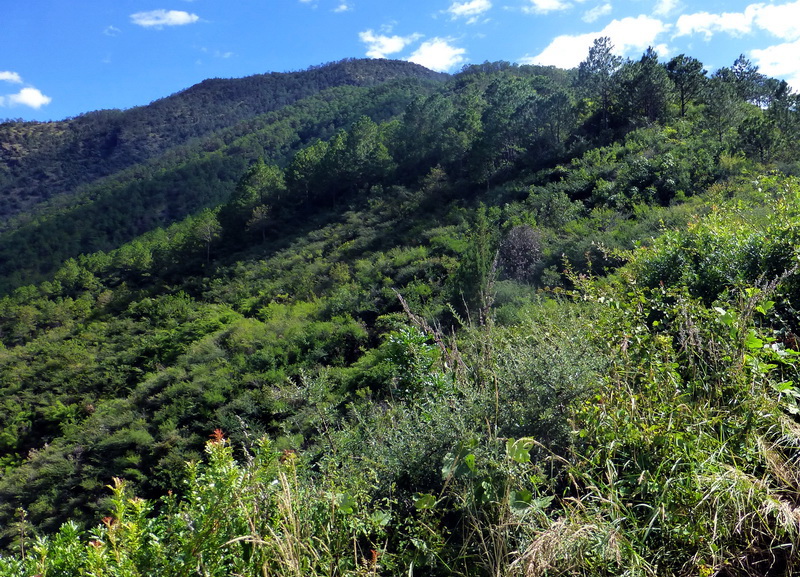 p1140011.jpg